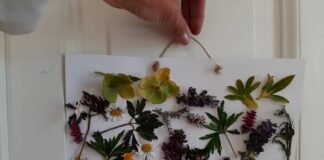Riprende al Mecf il corso per bambini sulla “Primavera”