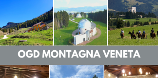 Avviato il percorso per la costituzione dell’OGD Montagna Veneta