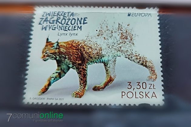 Premio internazionale Asiago d’arte filatelica - francobollo Polonia