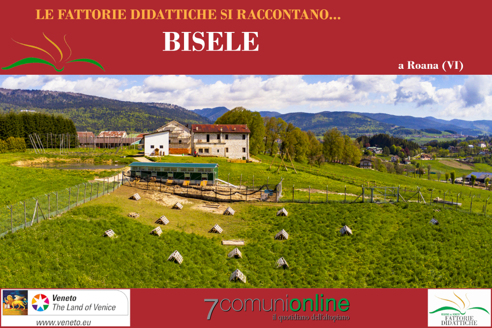 Regione del Veneto Fattorie Didattiche - Gioranta Aperta 9 ottobre 2022 - Biofattoria Bisele di Canove