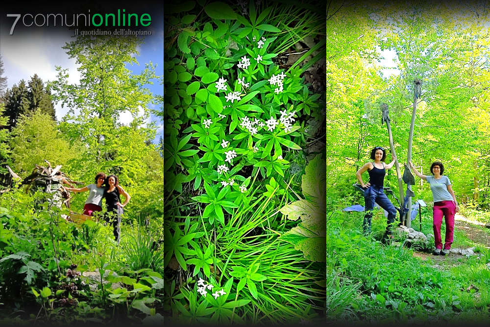 Giulia Rigoni e Lisa Cantele - SelvArt - Andar per erbe meditando