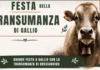 Gallio in festa per la Transumanza: tradizioni, sapori e musica fino a sabato