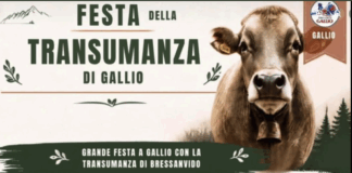 Gallio in festa per la Transumanza: tradizioni, sapori e musica fino a sabato