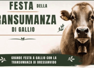 Gallio in festa per la Transumanza: tradizioni, sapori e musica fino a sabato