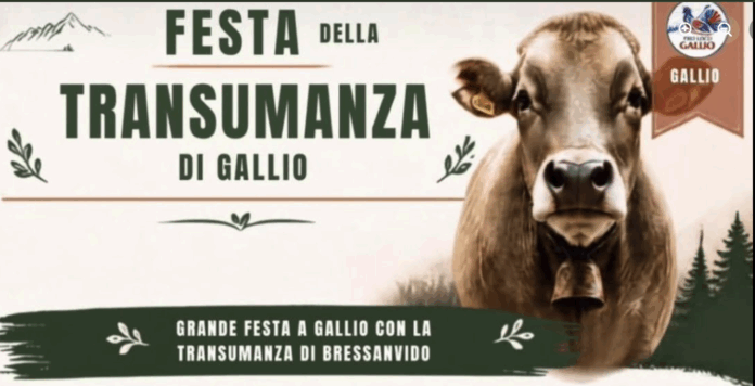 Tre giorni di festa per celebrare una delle tradizioni più legate alla montagna e alla vita degli allevatori. È iniziata ieri, giovedì 24 settembre, e proseguirà fino a sabato 26 settembre a Gallio la Festa della Transumanza