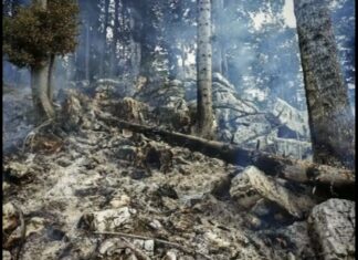 Fuoco di torba a Roana, elicotteri sul posto: difficili le operazioni di spegnimento Incendio torba via Laghetto Roana