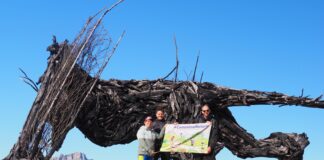 CamminaNatura arriva a Mezzaselva: un’escursione gratuita tra arte, natura e colori d’autunno a SelvArt CammiNatura