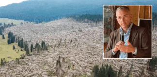 Otto anni dalla tempesta Vaia, il sindaco Rigoni Stern ricorda quei giorni: «Asiago isolata, la paura e la forza della nostra gente»
